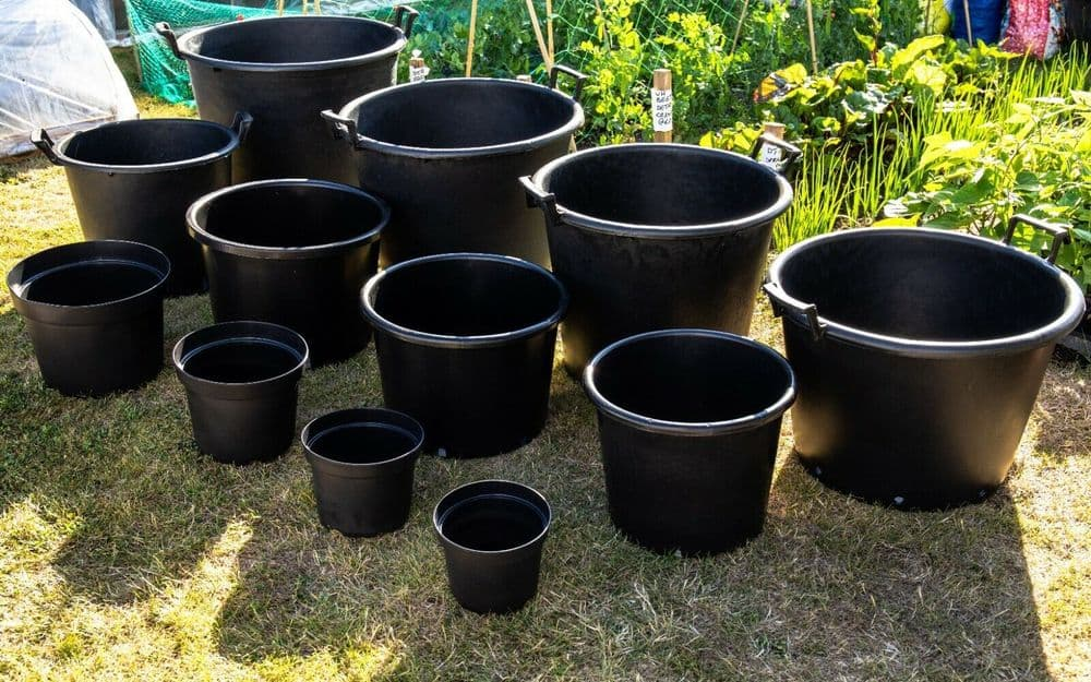 Black plastic pots lined up in three rows increasing in size from smallest at the front right to largest in the back left.
