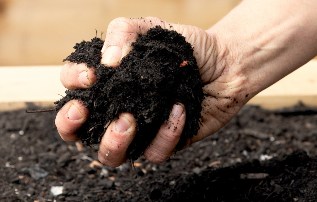 A hand grabbing a fistful of moist black dirt.