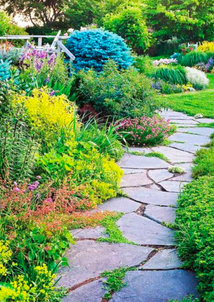 Pathway through a garden.