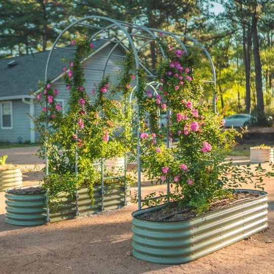 Trellis arch in a garden.