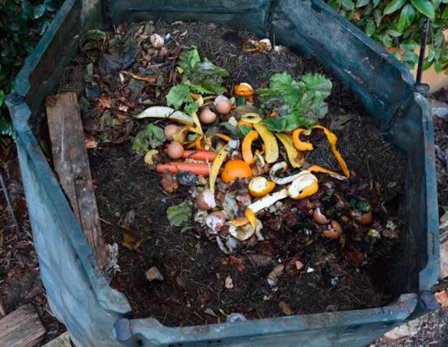 Compost in a bin.