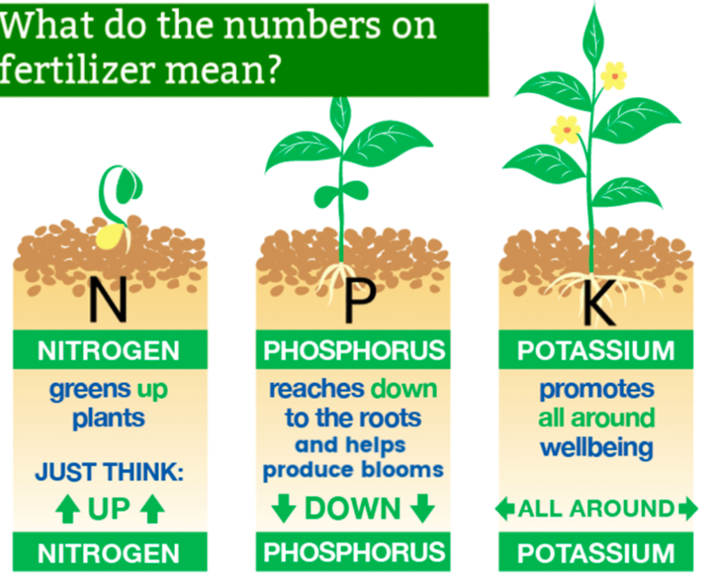A chart explaining NPK using directions to remember the different elements. N think Up as it is used to green up plants, P think Down as it reaches down to the roots, and P think All Around as it promotes overall wellbeing.