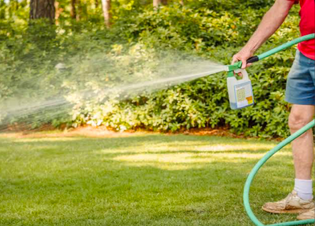 A man using a hose sprayer attachment to spray fertilizer on a lawn.