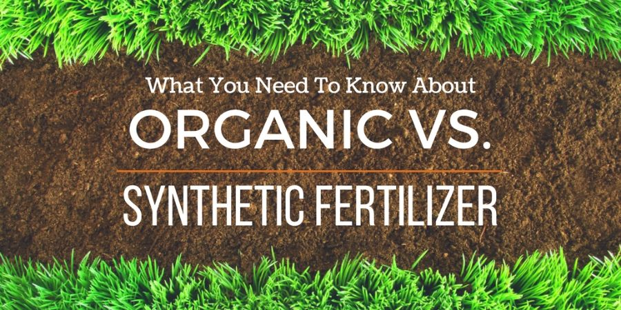 A stylized poster reading, "What You Need To Know About
Organic Vs Synthetic Fertilizers?".