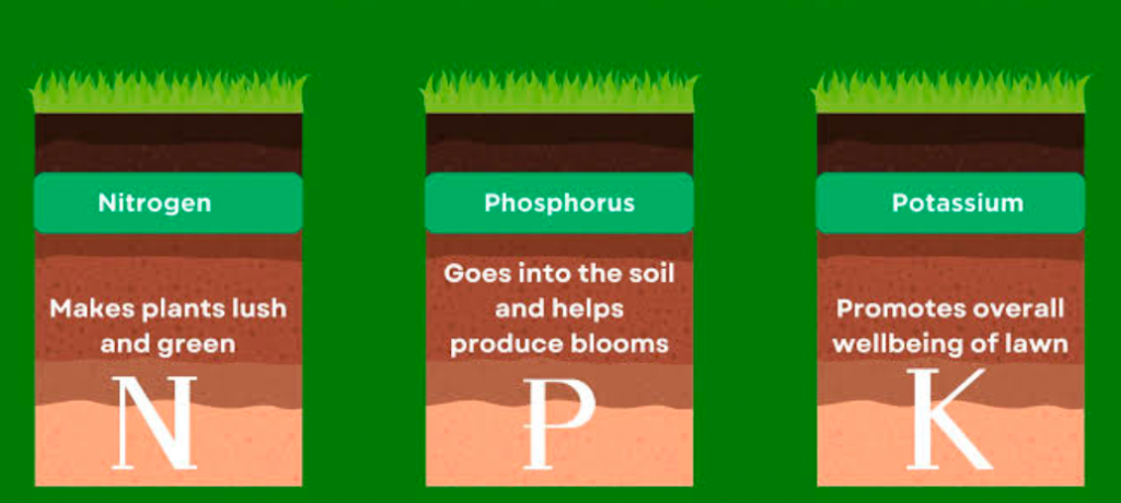 A diagram showing N P K with each nutrient defined.