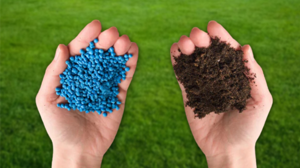 Two hands holding organic and synthetic fertilizer in each.