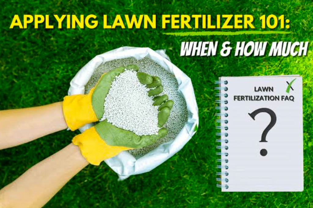 Hands holding lawn fertilizer.