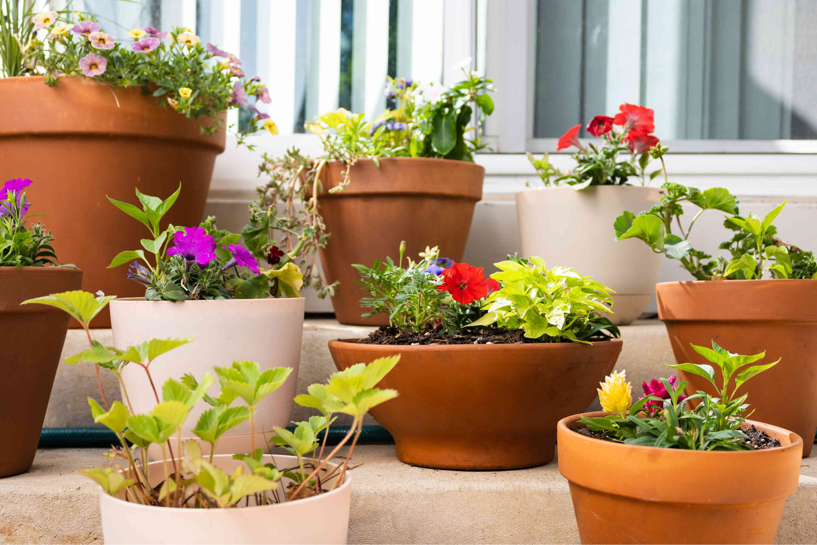 Various containers on different steps.