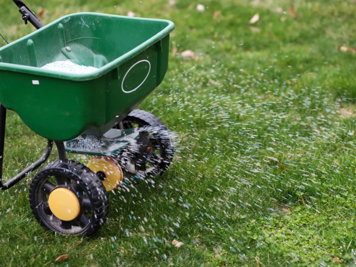 A spreader spraying fertilizer across the lawn.