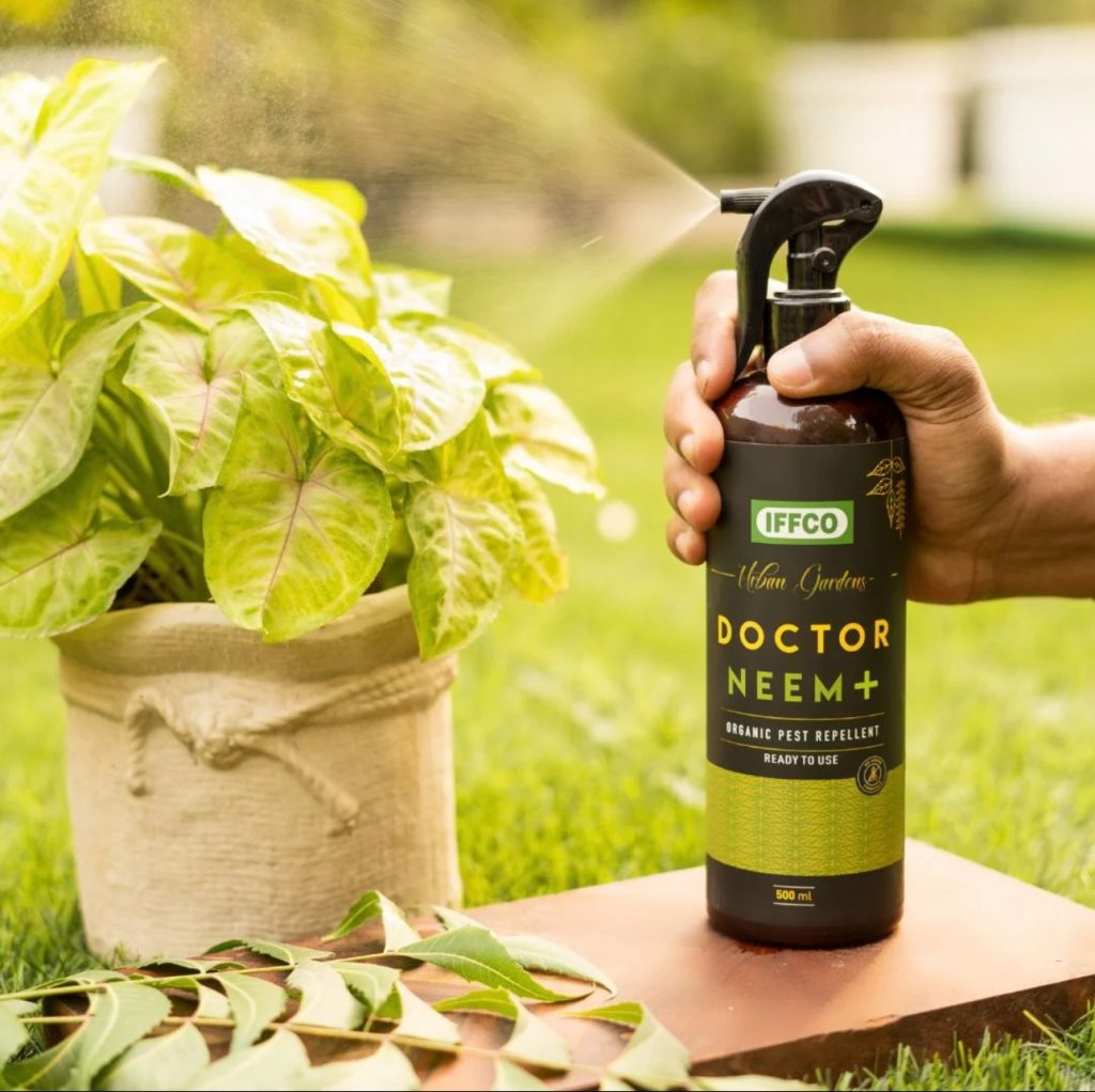 Hand spraying organic neem pest repellent on indoor potted plants