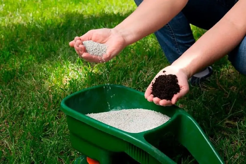 Closeup of man holding different fertilizers in each hand while stooped on lust green grass.