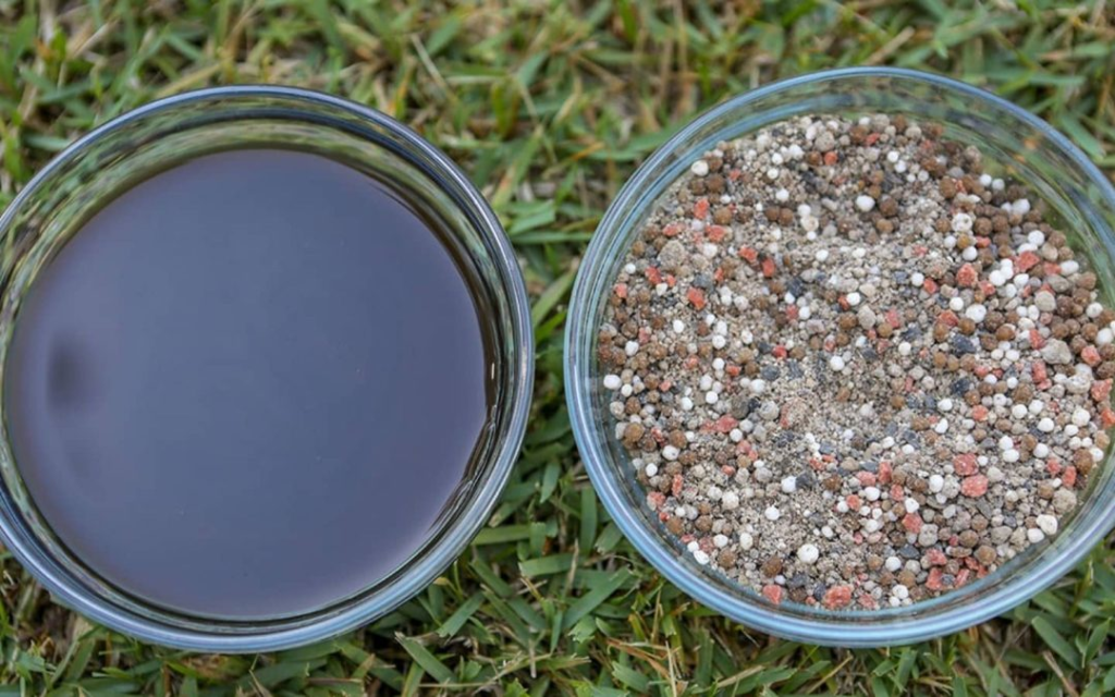 Two small containers on a lawn one with liquid the other with granular fertilizer.