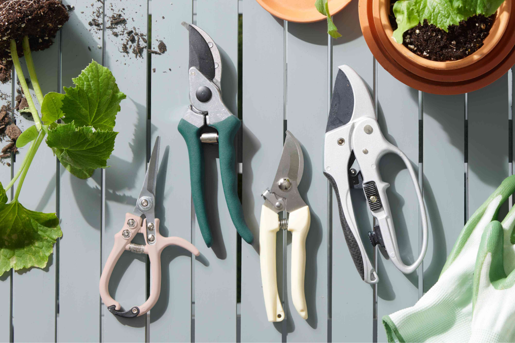Top down view of  different hand pruners on a teal slatted table top surrounded by gloves and a plant being repotted.