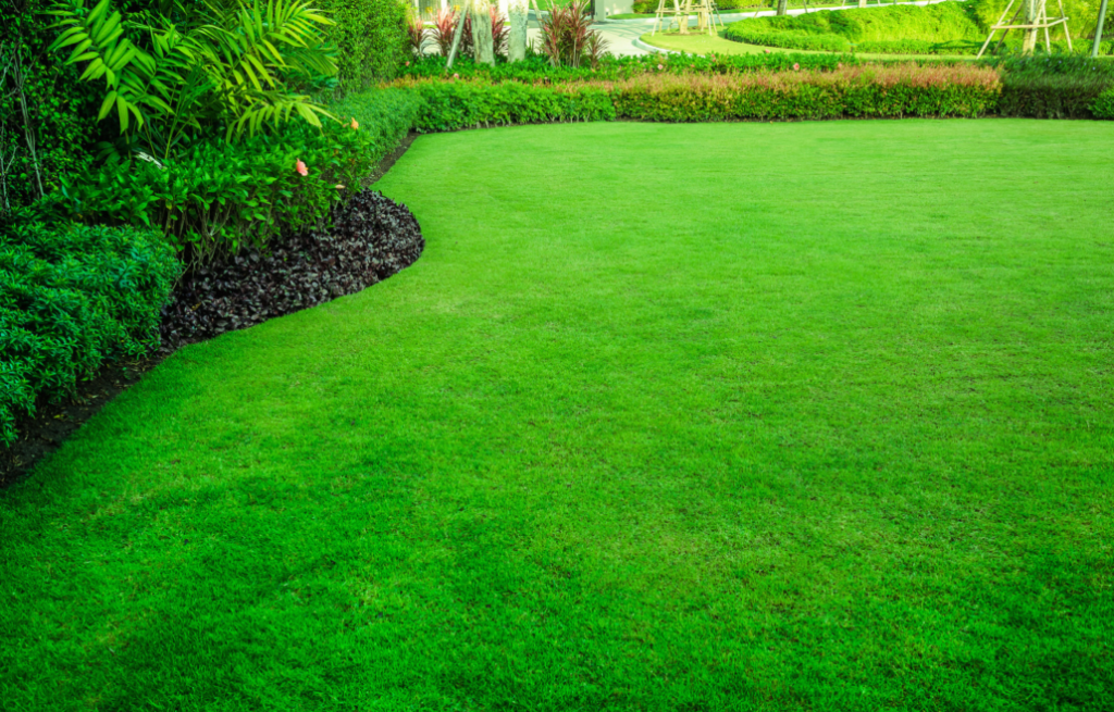 A thick lush lawn edged professionally by bushes.