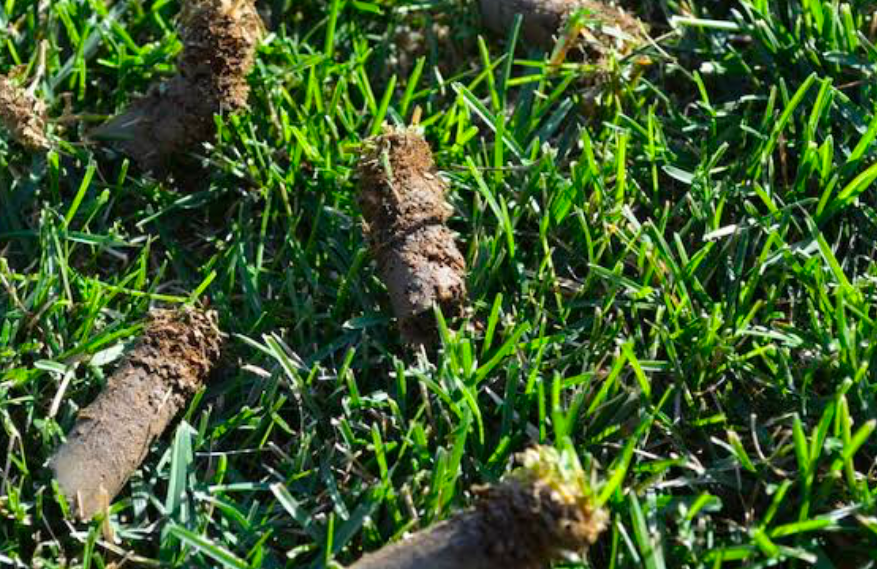 A close up of core aeration.
