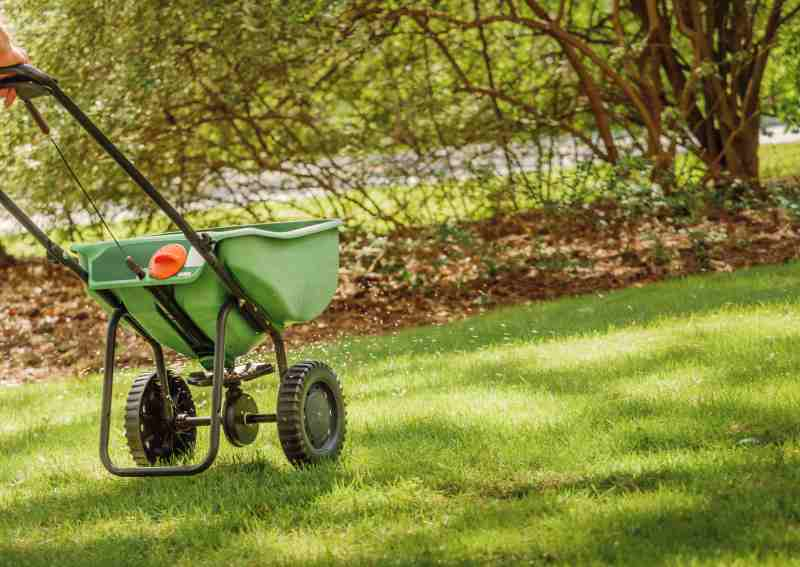 A spreader being pushed along a lush lawn.
