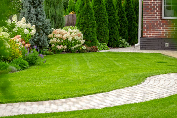 A well manicured front lawn.