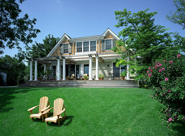 A healthy lawn.