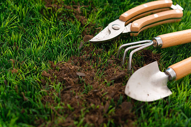 Garden tools laid on a patch of grass.