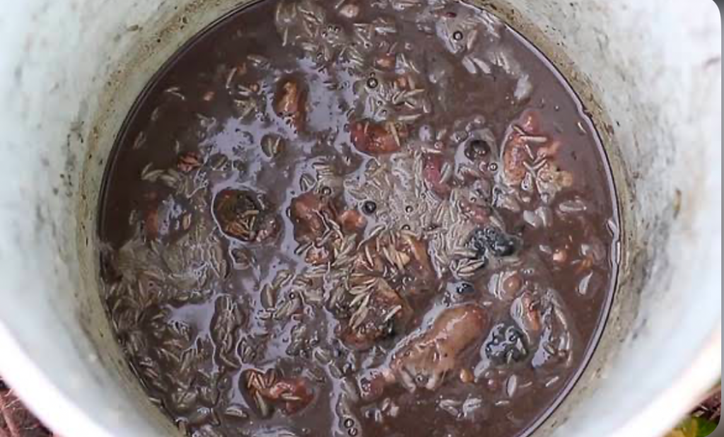 Fish emulsion in a white bucket.