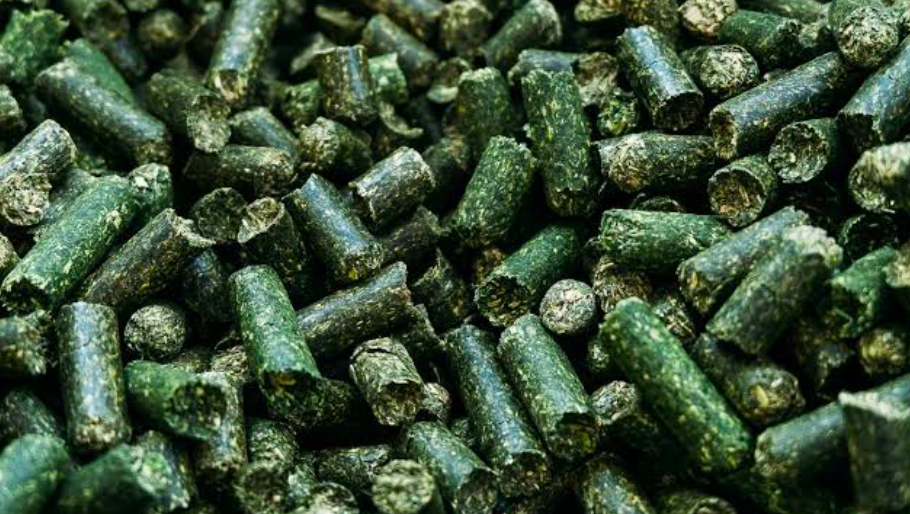 Close up of organize fertilizer granules.