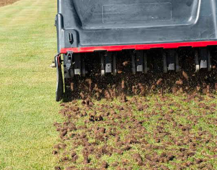 An aerator creating plugs in a lawn.