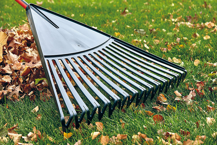 A plastic leaf garden rake being used to gather fallen leaves on a lawn.