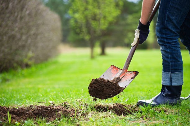 Person digging soil with shovel to prepare lawn for planting or repair