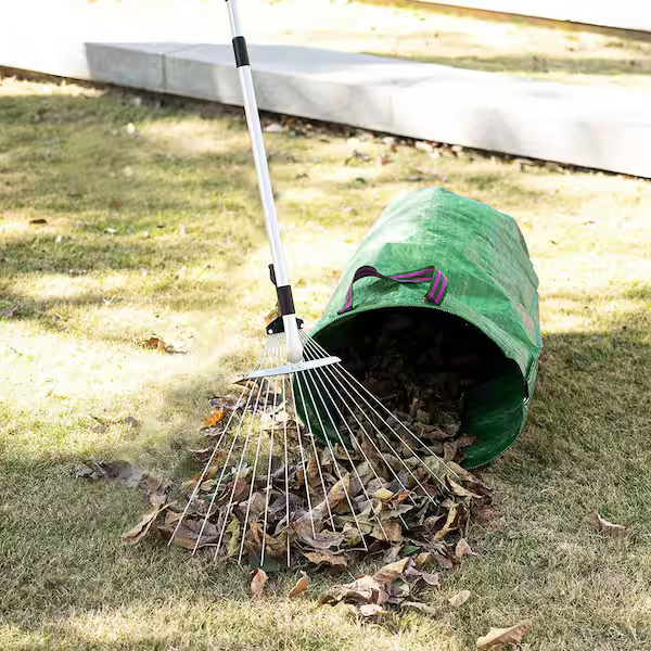 A rake stood up in place on a lawn next to a green bag leaves are being raked into.