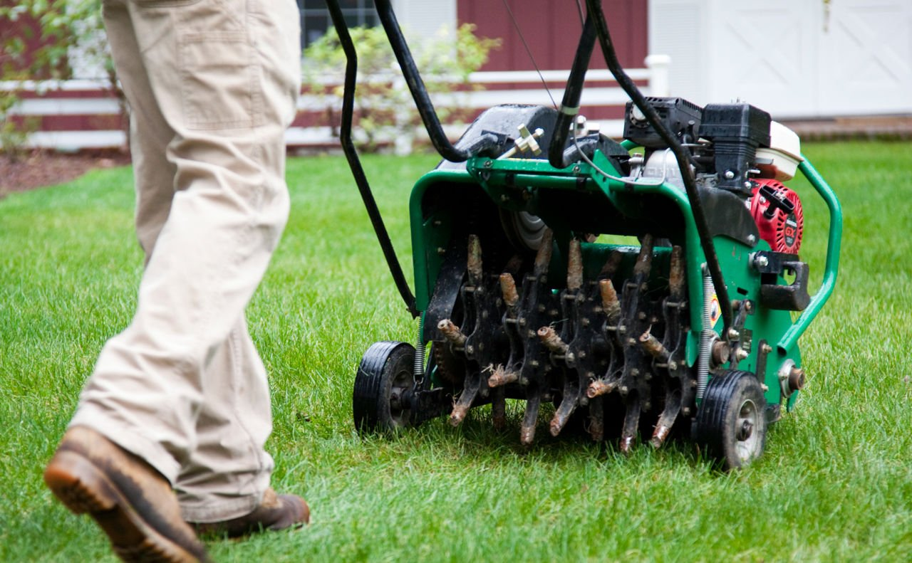 A gardener walking behind a push operated core aerator.