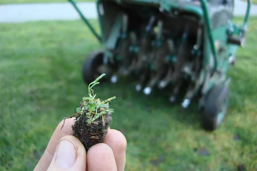 A close up of a plug held by a gardener in the foreground with a core aerator in the background.