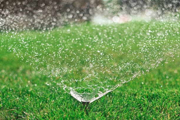 Automatic sprinkler watering green lawn for proper grass irrigation
