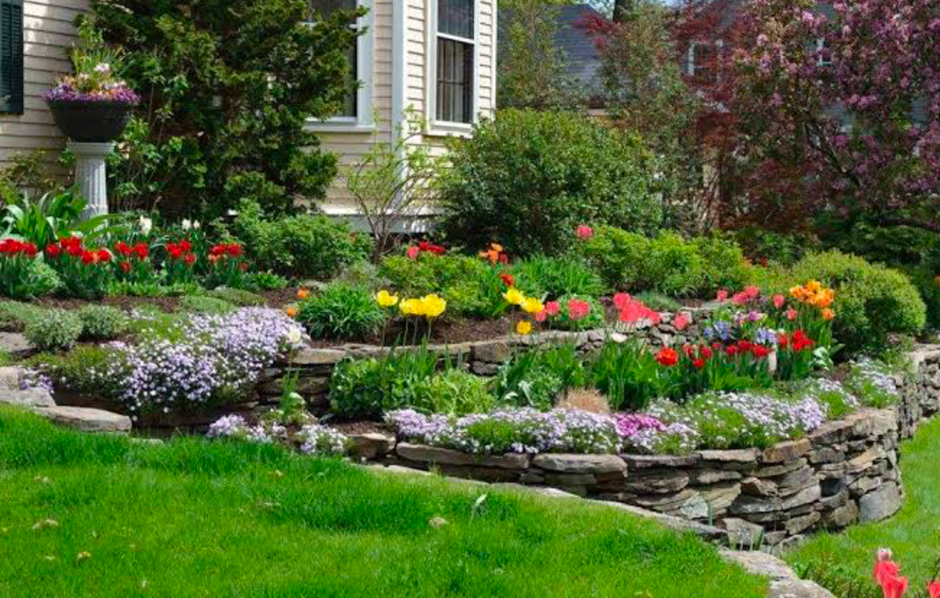 Terraced front yard with stone retaining walls and blooming spring flowers.