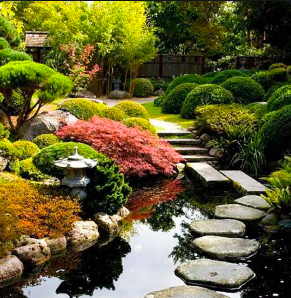 Japanese garden with stepping-stone path over a pond, pruned shrubs and red maple