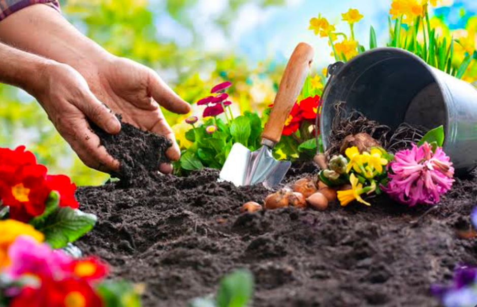 Hands adding compost to a flower bed with a trowel—preparing soil for spring planting