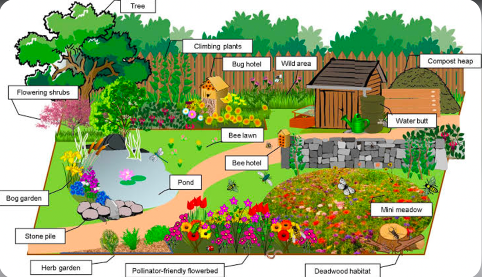 Wildlife garden plan pond, bee hotel, compost