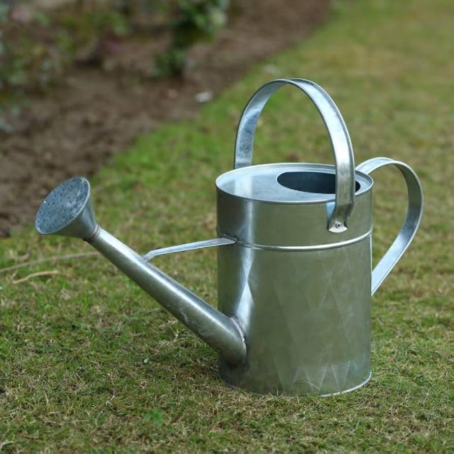Reliable, metal-spout watering can ready to hydrate your garden.