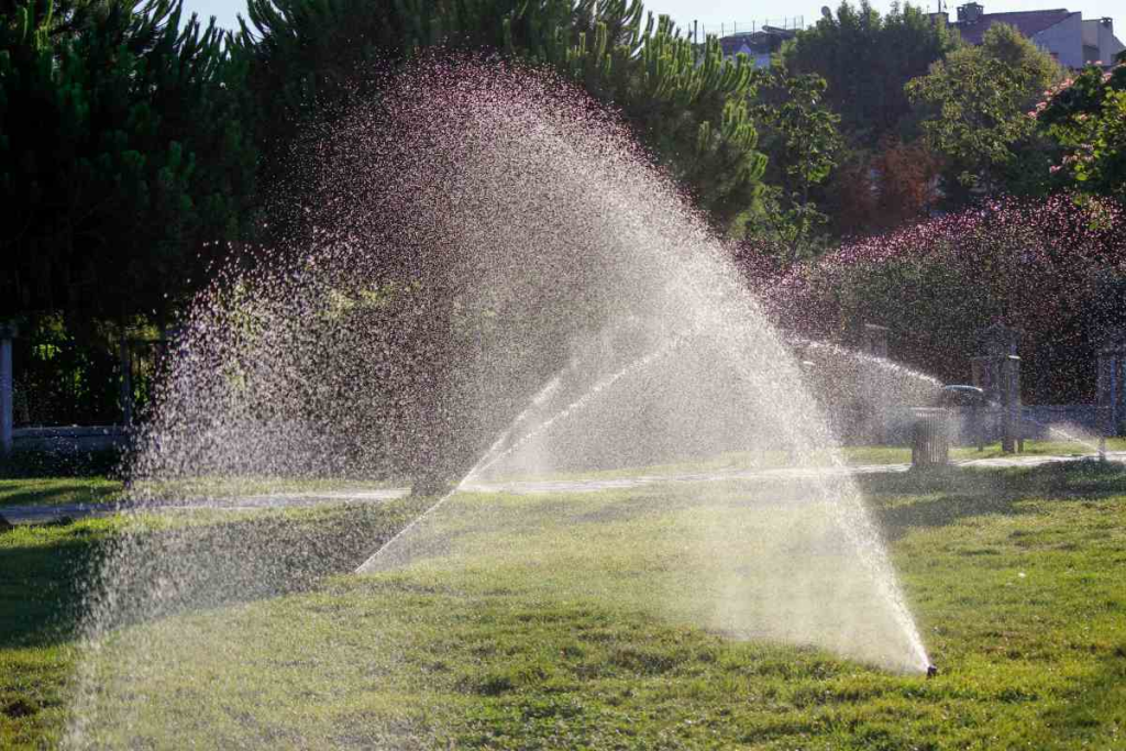 Sprinklers watering a lawn.
