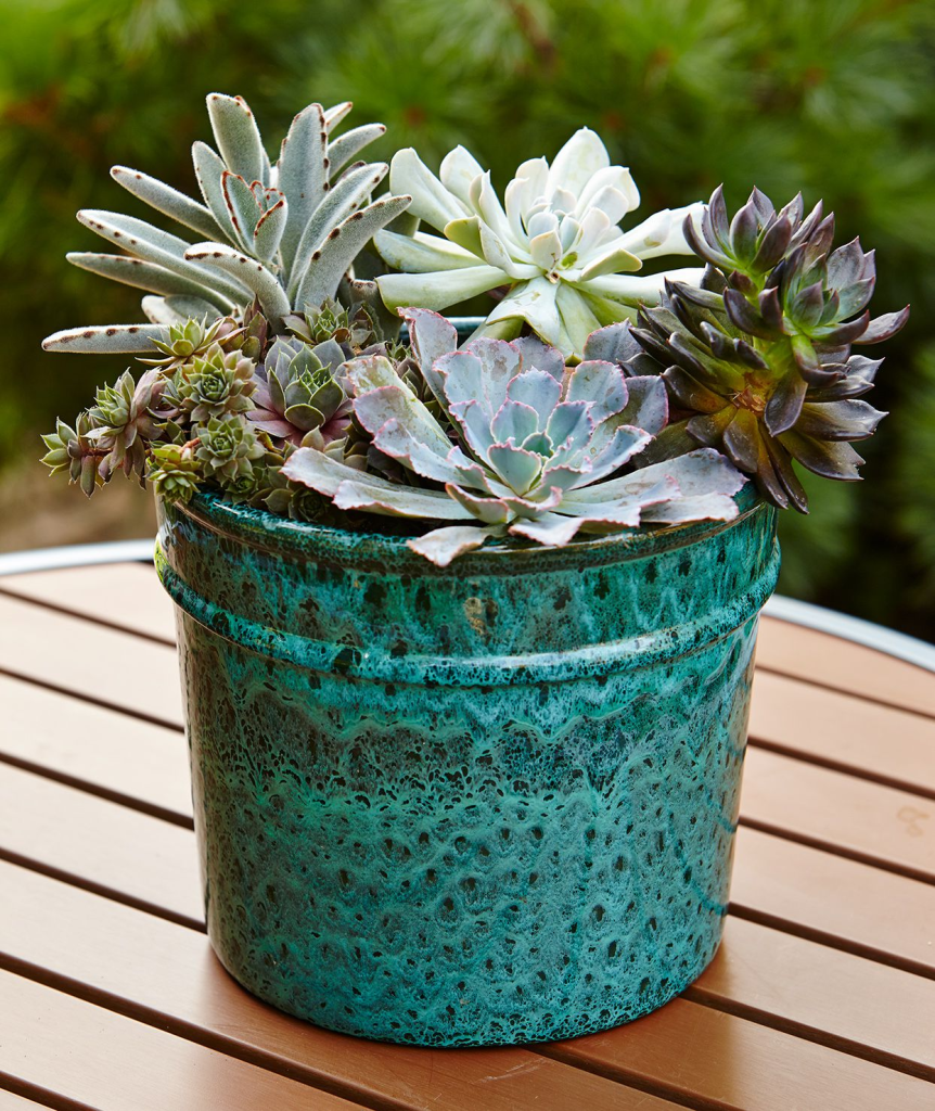 A decorative teal speckled medium sized pot overflowing with various succulents.