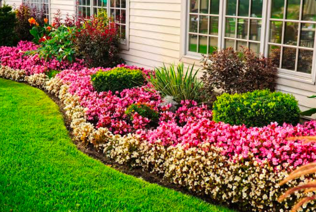 A flower bed alongside a house adding colorful curb appeal.