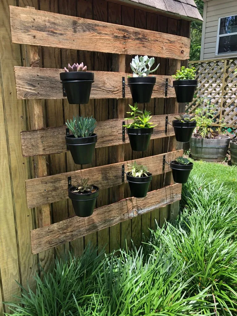 Mix hanging planters with repurposed pallets creates an easy vertical planting rack.