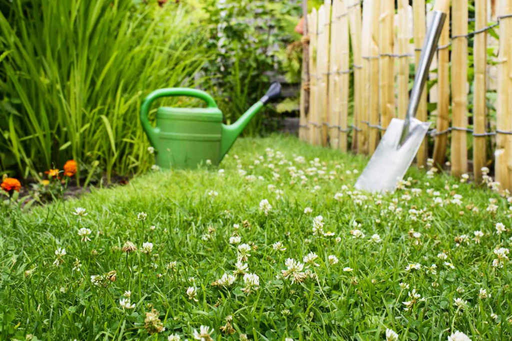 A green watering can and a garden hose resting on the grass in a sunny garden setting.