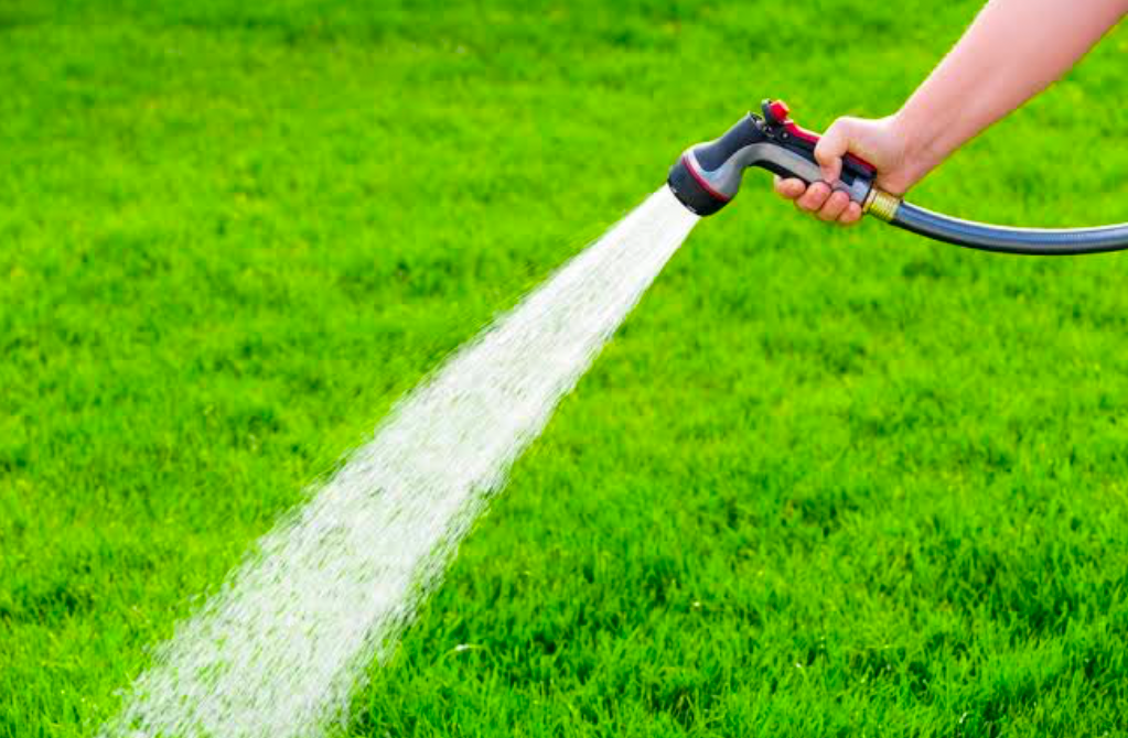 A gardener using a hose to water plants.