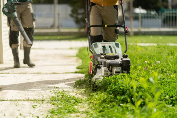 person mowing and edging lawn with grass trimmer and lawn mower along sidewalk