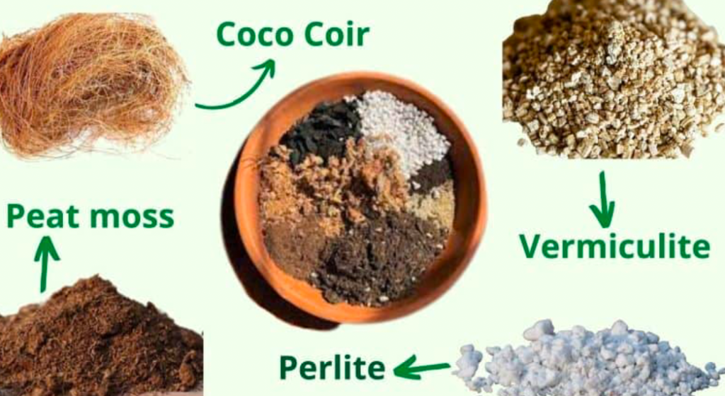 Potting mix ingredients including coco coir, peat moss, vermiculite, and perlite