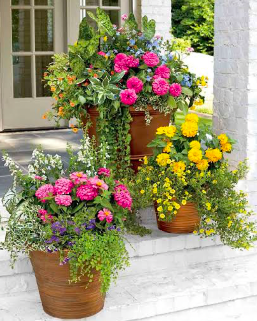 Colorful container flowers arranged on outdoor steps near the entrance