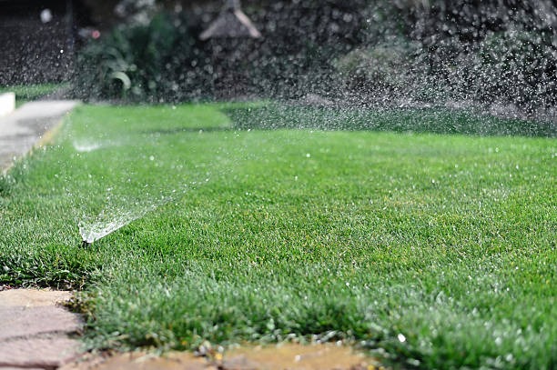 automatic sprinkler watering lush green lawn in residential garden