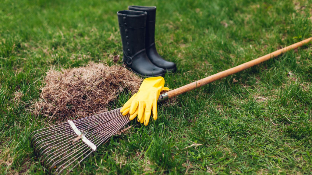 A rake, gloves, and boots next to thatch resting on a lawn.