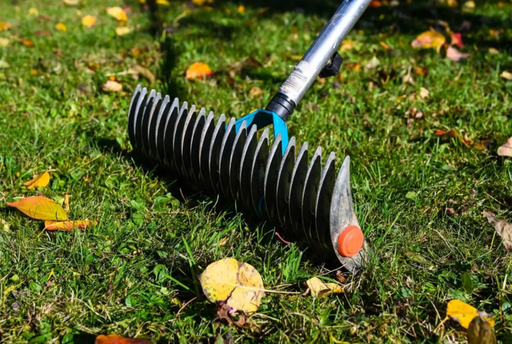 A dethatching rake resting on a lawn.