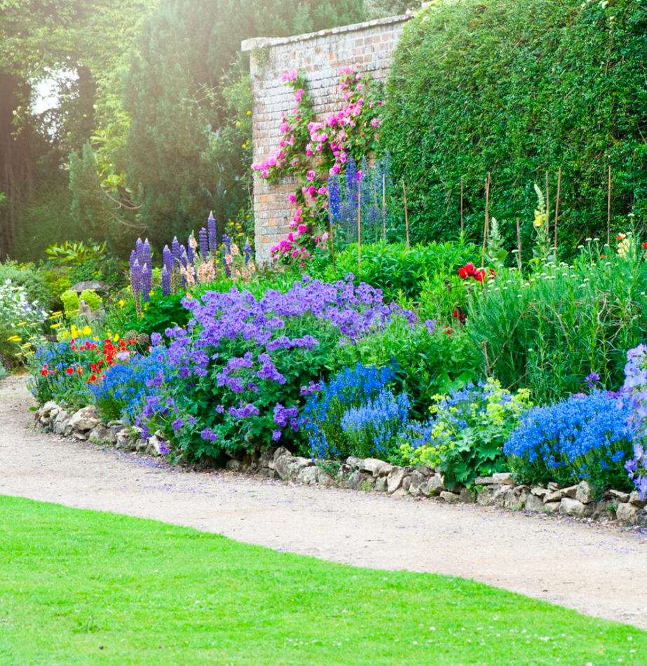 A vibrant perennial flower border featuring purple, pink, and blue blooms set against an old brick wall covered in climbing roses and framed by a green lawn